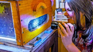 farm-babe1755043436-0-640×480