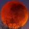 blood moon